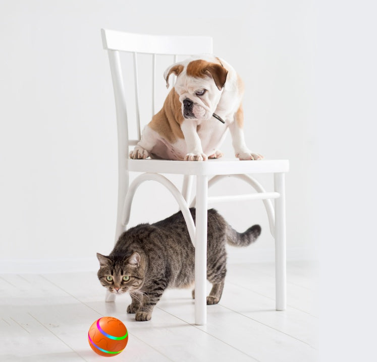 🐾 Wicked Ball Cat Toy - Smart, Self-Rotating Fun for Your Feline Friend! 🐱⚡ - Shop Wave